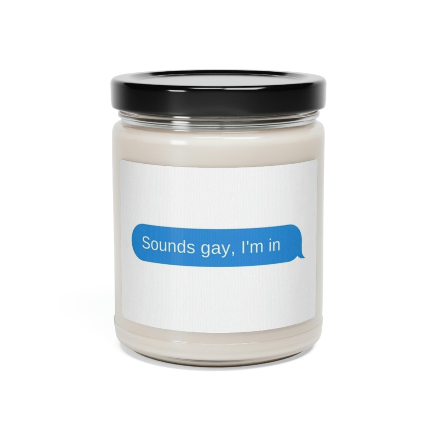 Sounds Gay Scented Soy Candle